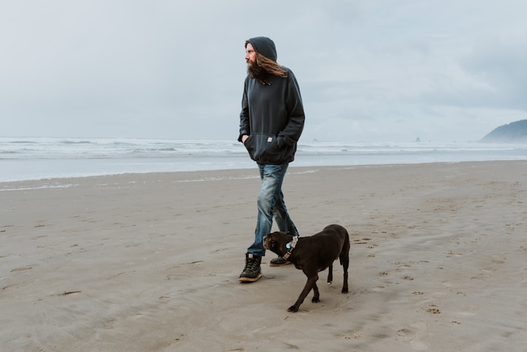 去医院测细小犬瘟多少钱,宠物查细小犬瘟多少钱一次插图