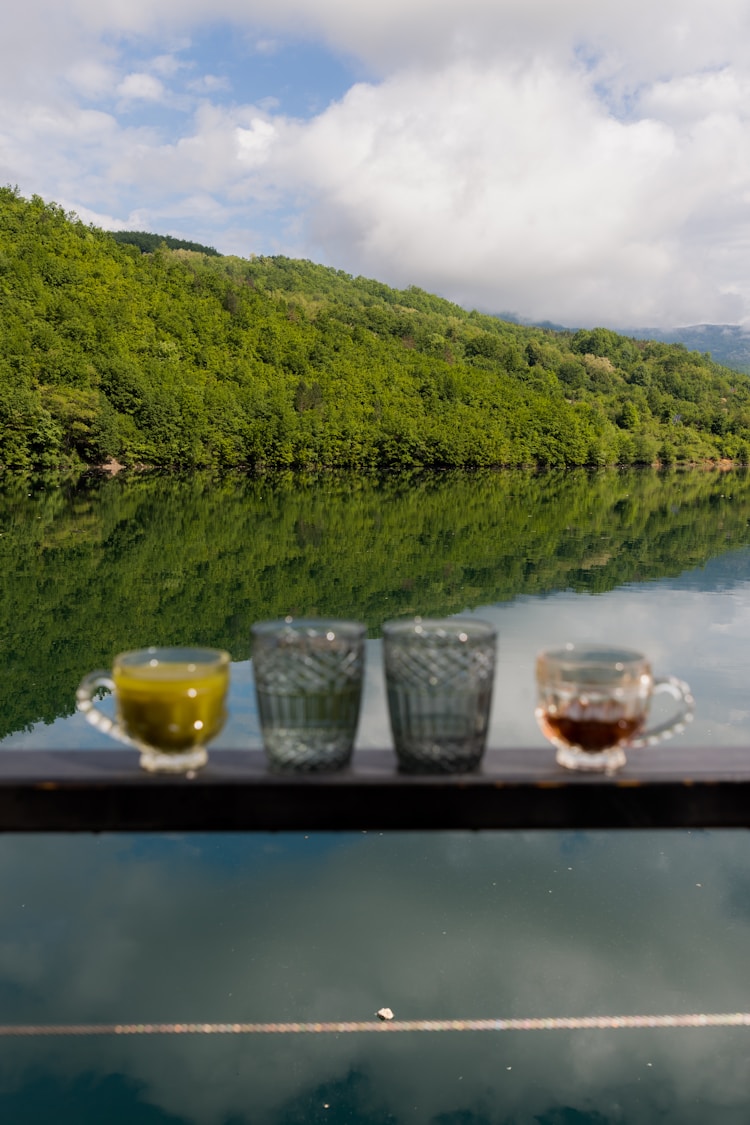 茶杯狗最便宜的多少钱一只,茶杯狗最便宜多少元插图